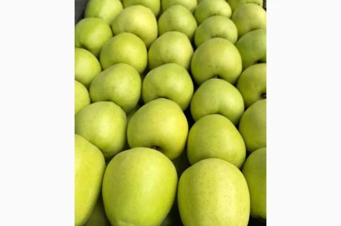 Продам яблука- фото № 1