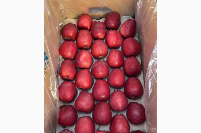 Продам яблука- фото № 2