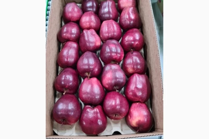 Продам яблука- фото № 3