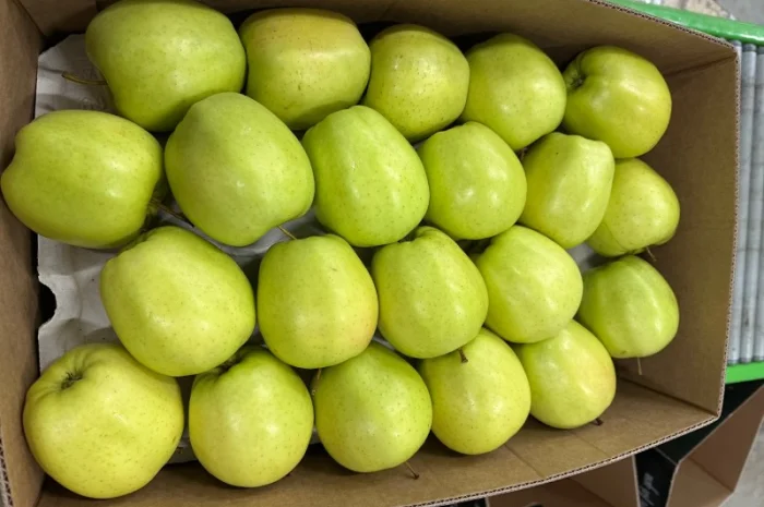 Продам яблука- фото № 7