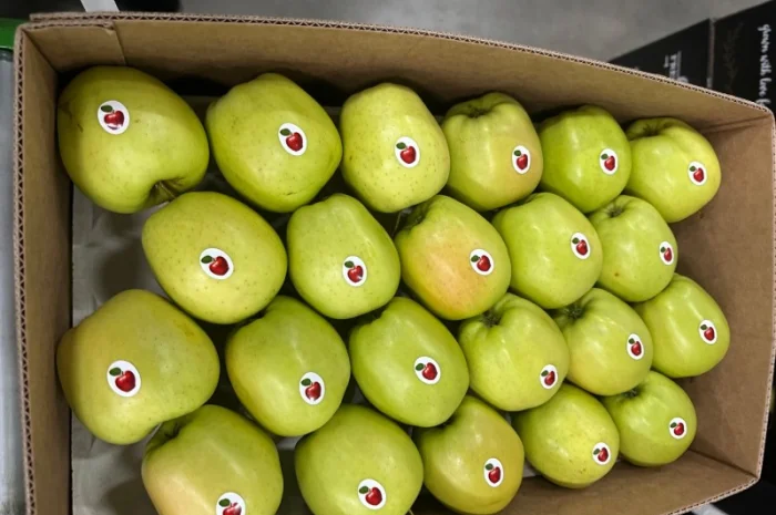 Продам яблука- фото № 8