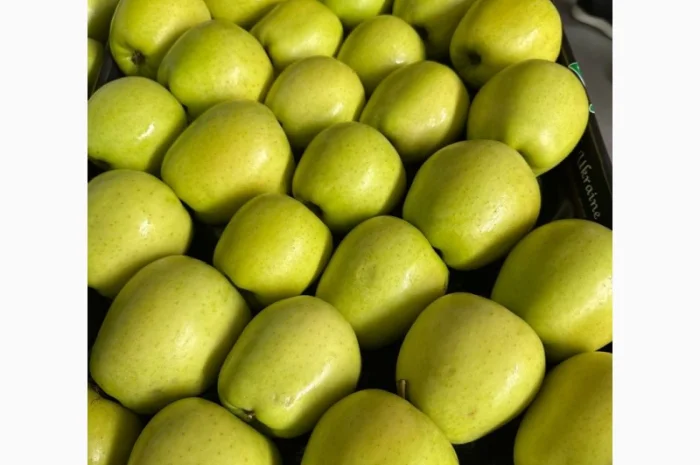 Продам яблука- фото № 9