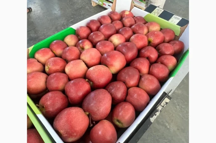 Польські яблука будь-яких сортів (Gala- фото № 1