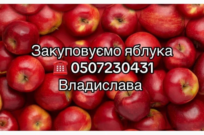 Купуємо яблука на переробку в необмеженій кількості.Куплю яблука- фото № 1