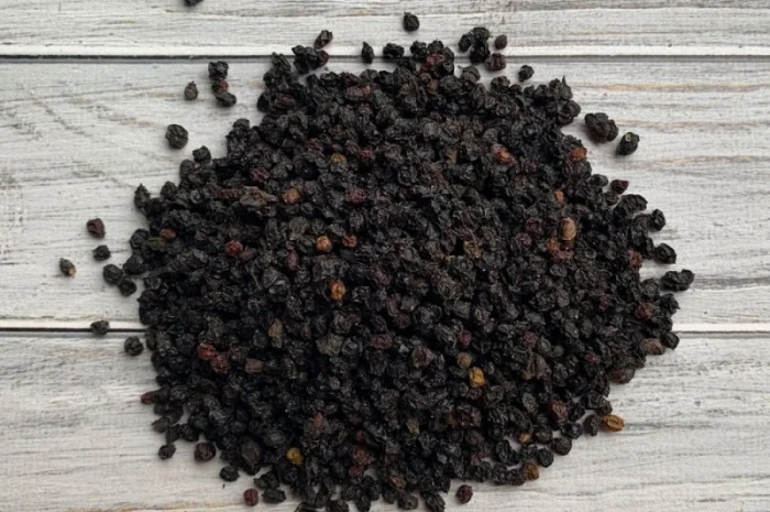 Куплю сушену бузину (ягода бузини суха)- фото № 1