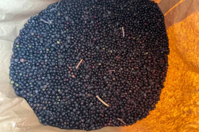 Продам Бузину заморожену- фото № 2