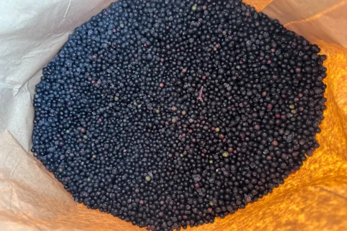 Продам Бузину заморожену- фото № 3