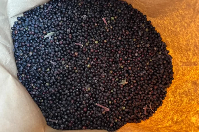 Продам Бузину заморожену- фото № 4