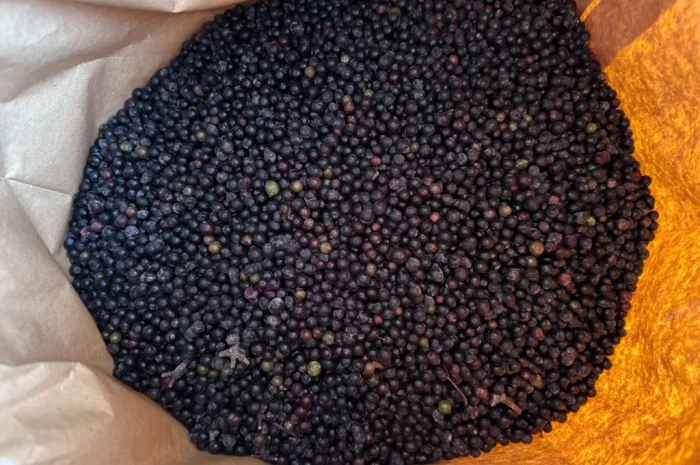 Продам Бузину заморожену- фото № 5