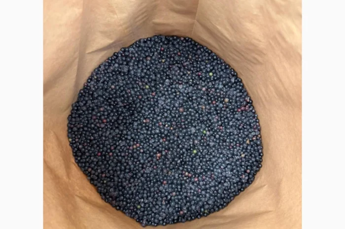 Продам Бизину Б клас та Оригінал- фото № 2