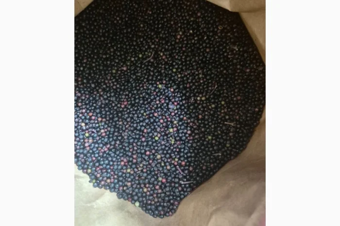 Продам заморожену бузину класу Б- фото № 3