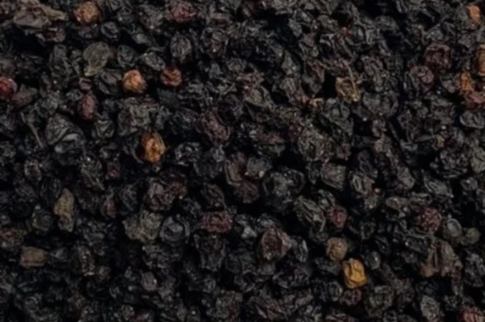 Продам сушену ягоду бузини- фото № 2