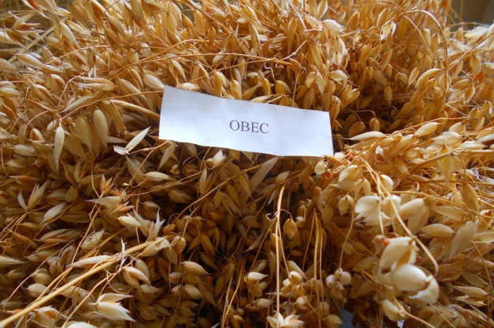 Вівсяне борошно оптом- фото № 1