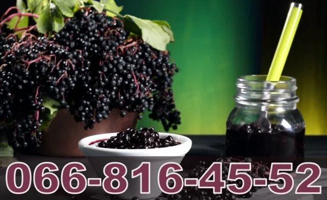 Покупаем бузину оптом на ящик и бочку по высоким ценам- фото № 1