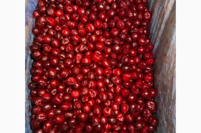 Продается замороженная вишня без косточки сезона 2025 года- фото № 1
