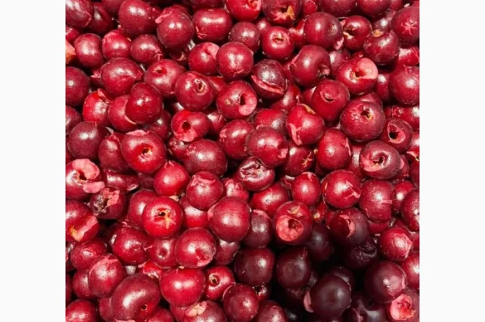 Пропонується морожена вишня без кісточки- фото № 1