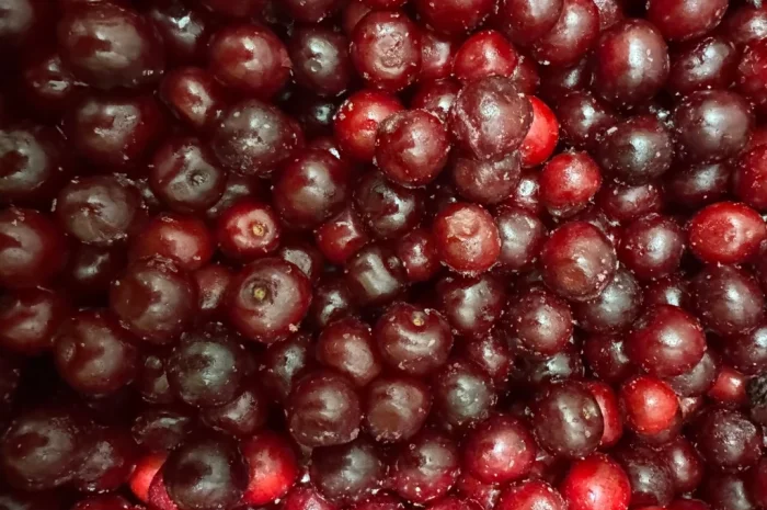 Продам вишню- фото № 3