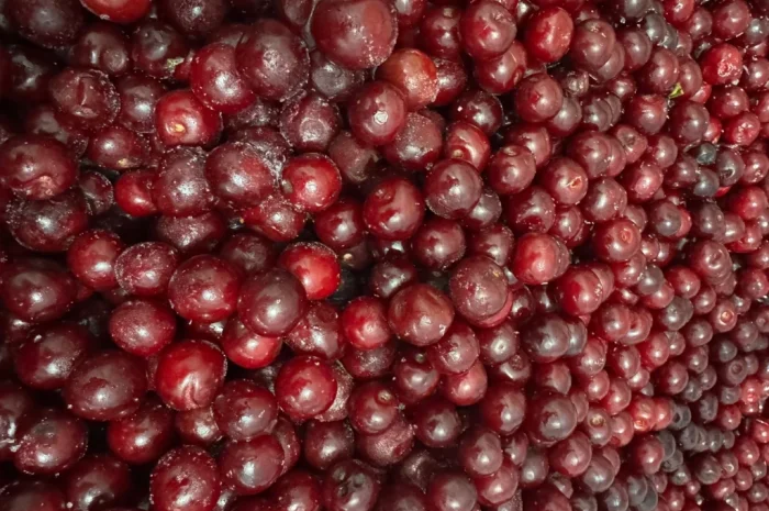 Продам вишню- фото № 4