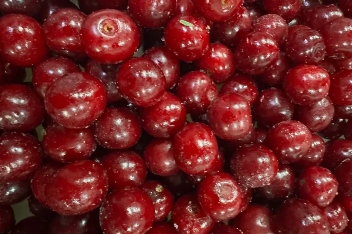 Продам вишню- фото № 5