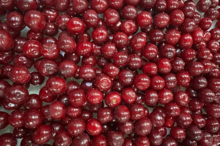 Продам вишню- фото № 6