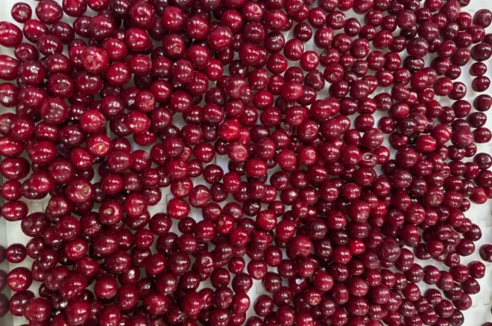 Продам вишню- фото № 7