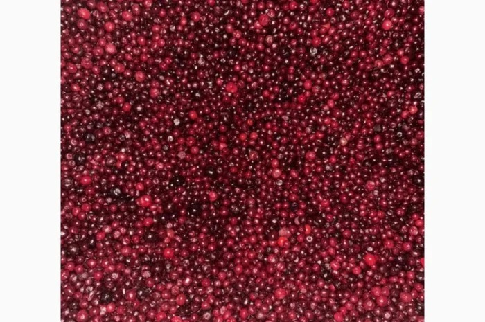 Купую заморожену вишню з кісткою | постійні закупівлі | великі обсяги- фото № 1