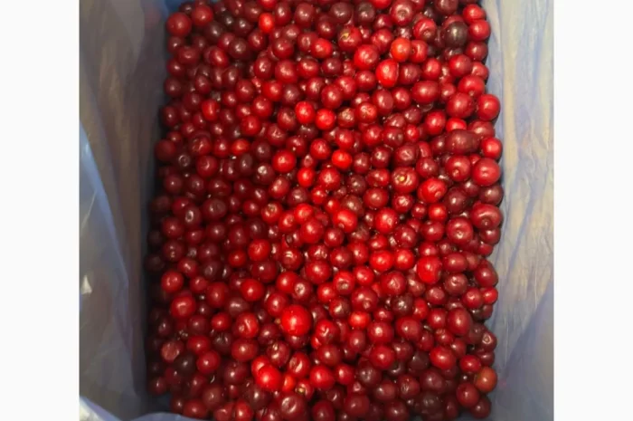 Куплю вишню заморожену та інші ягоди від 200 тон- фото № 1