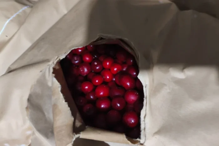 Продам вишню з кісточкою шокової заморозки 2025 р.в- фото № 2