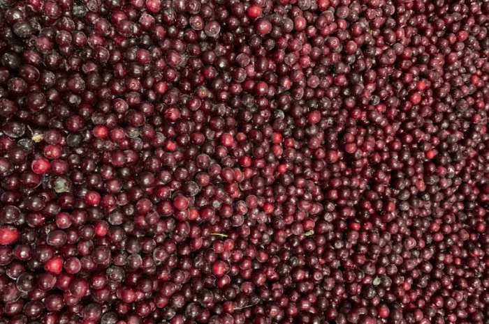 Продам вишню заморожену з косточкою- фото № 1