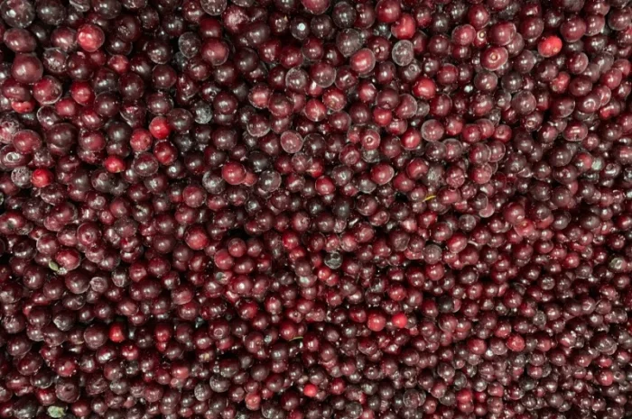 Продам вишню заморожену з косточкою- фото № 2