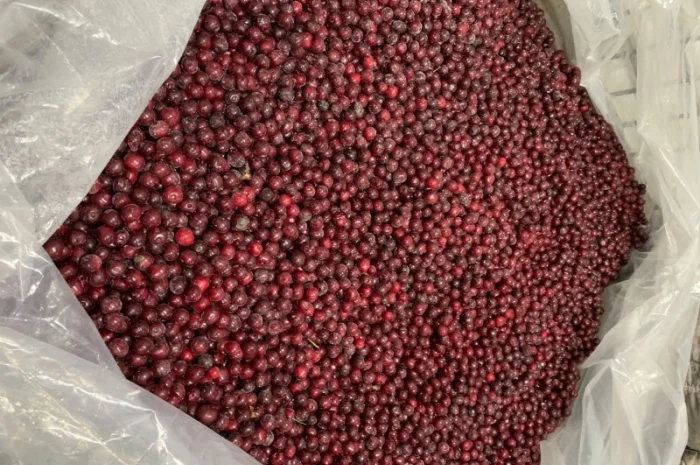 Продам вишню заморожену з косточкою- фото № 3