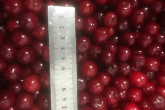 Продам вишню заморожену- фото № 1