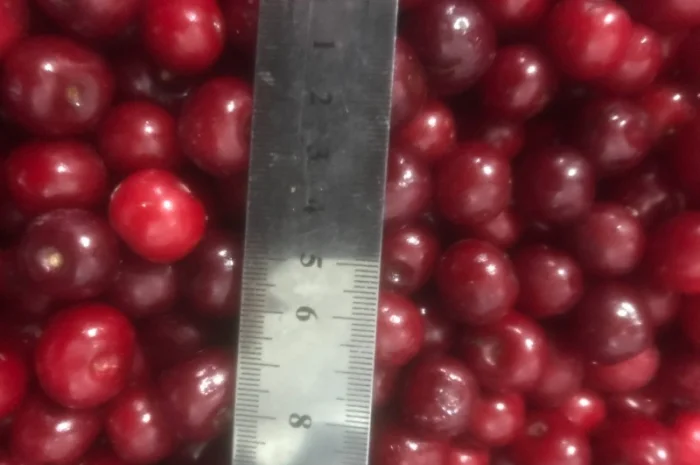 Продам вишню заморожену- фото № 2