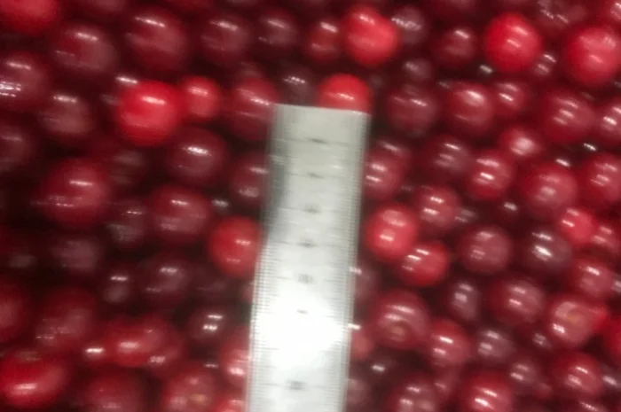 Продам вишню заморожену- фото № 3