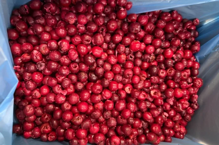 Продам заморожену вишню б/к- фото № 2