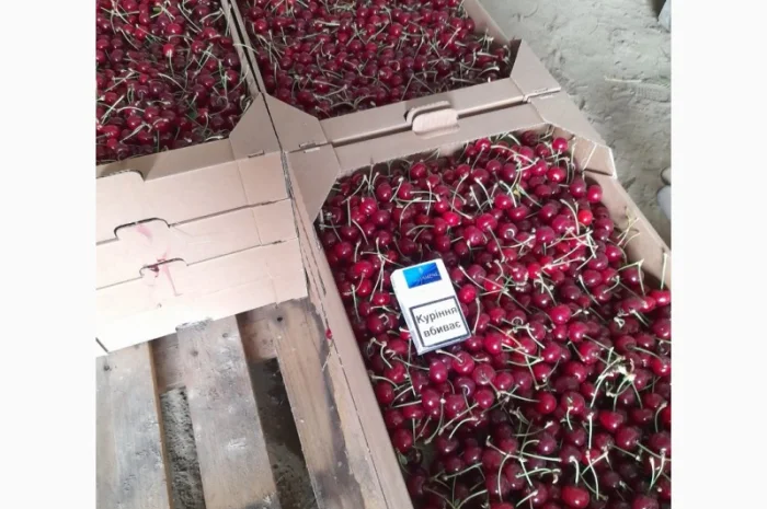 Продам вишню Метеор отличного качества- фото № 3