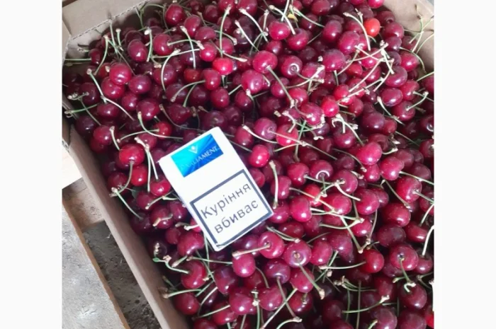 Продам вишню Метеор отличного качества- фото № 4