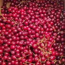 Вишня оптом 2025 от населения | Поставка на концентрат | От 10 тонн- фото № 1