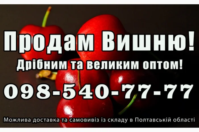 Продам вишню за договірною ціною на постійній основі- фото № 1