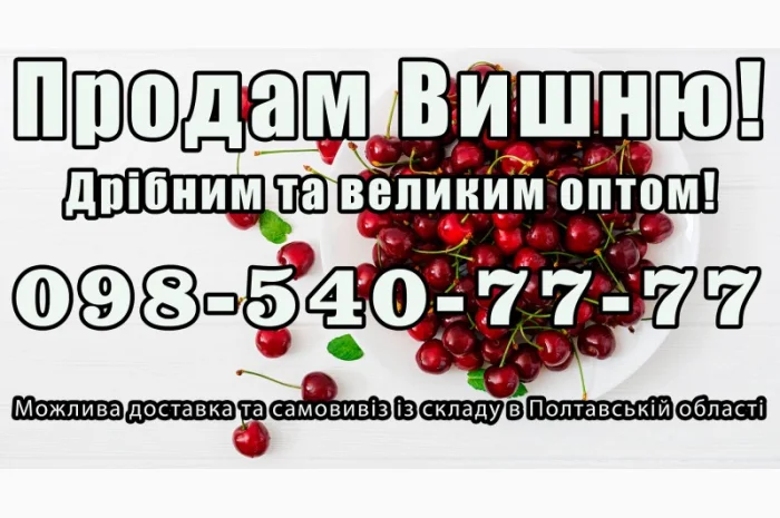 Реализую вишню- фото № 1