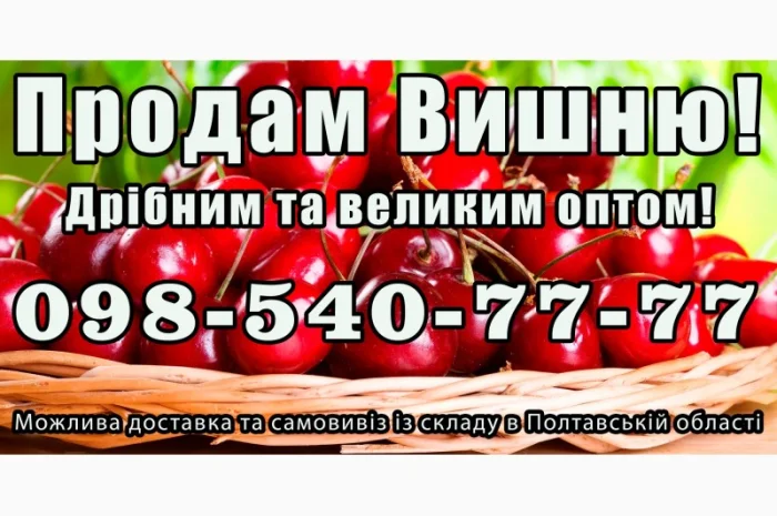 Реализую вишню 2025года- фото № 1