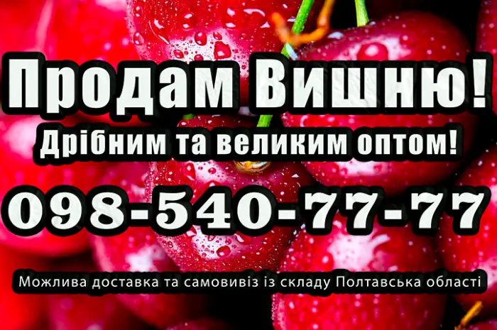 Продам вишню- фото № 1