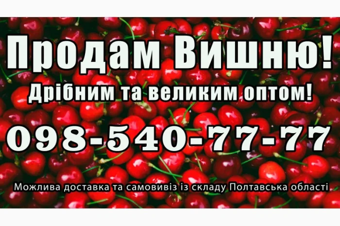 Продам вишню за договірною ціною- фото № 1