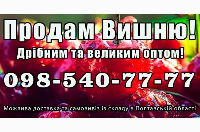 Реализую вишню- фото № 1