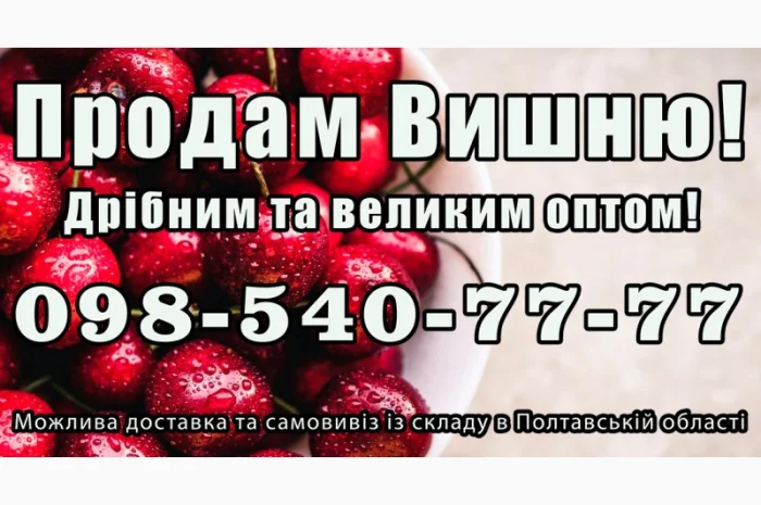Продаю вишню 2025г.- фото № 1