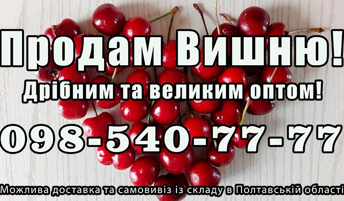 Реализую вишню- фото № 1