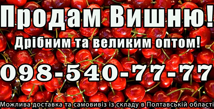 Продам вишню- фото № 1