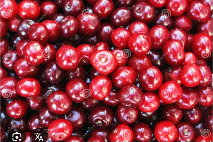 Куплю вишню- фото № 1