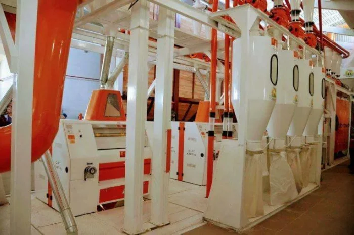 Пропонується борошно вищого та 1 гатунку- фото № 1