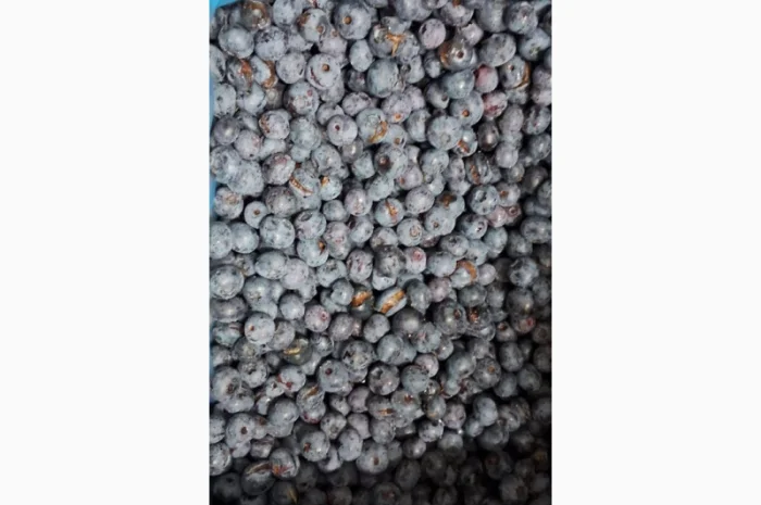 ЛОХИНА заморожена- фото № 1